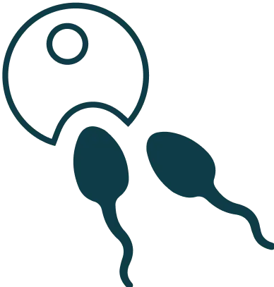 Fertility
