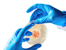 Cytopathology
