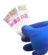 Histopathology