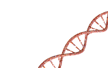 Molecular